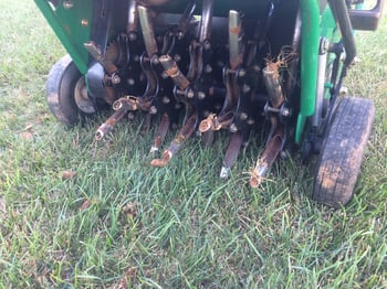 Aerator rental Cincinnati, Dayton, OH, or N. Kentucky vs. hiring a lawn aeration service.