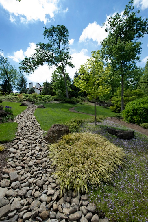 Oasis Turf & Tree wins NALP award for Lawn Care results.
