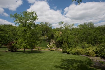 Lawn treated by lawn care company