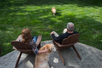 Couple sitting with dogs on pet-safe lawn