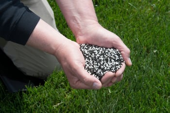 How many lawn treatments do I need per year? How often should I fertilize my grass? 