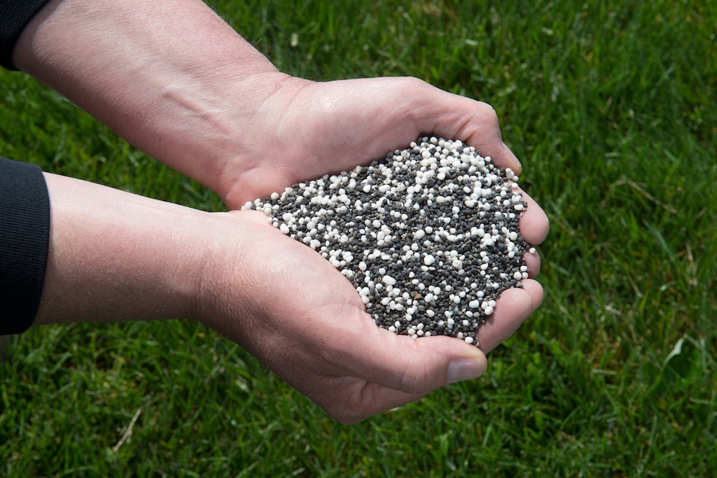 Lawn Care Services Cincinnati Dayton OH Oasis Turf & Tree