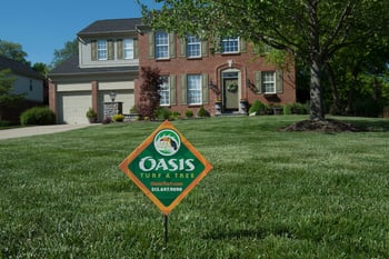 nice lawn with no weeds in Ohio