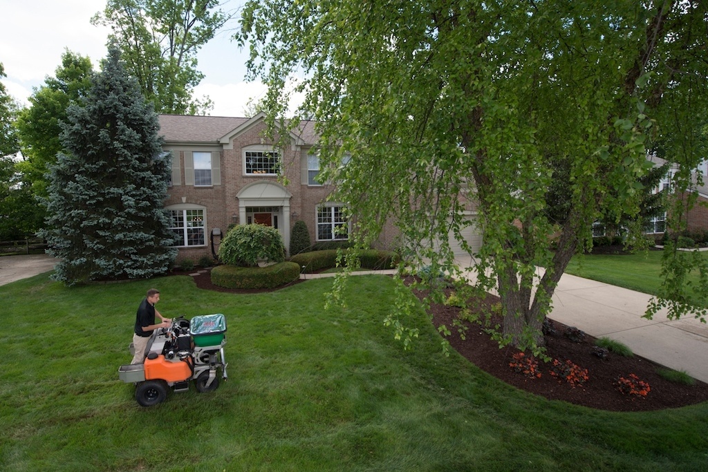 lawn care expert fertilizes grass
