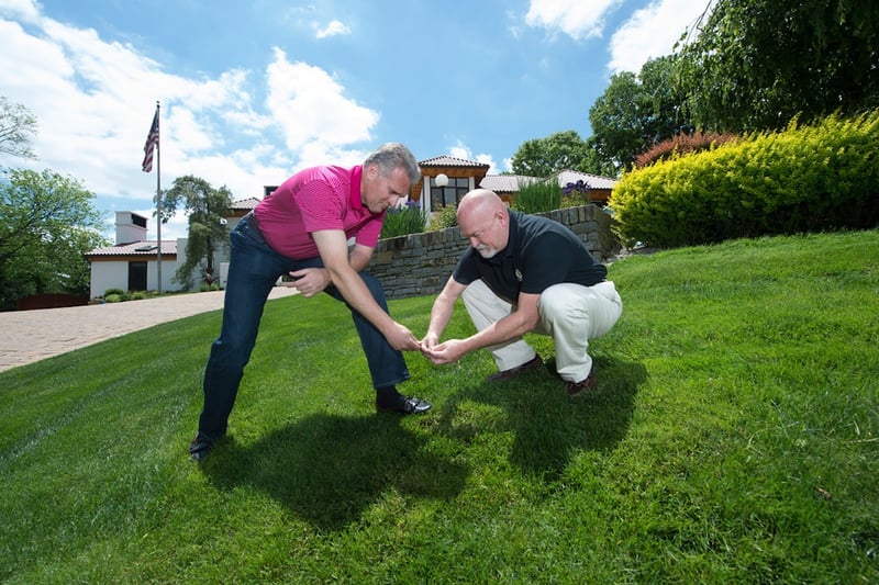 homeowner and lawn care expert inspect grass