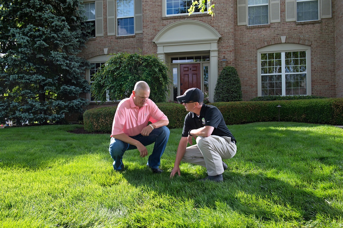 lawn care expert inspects grass with homeowner