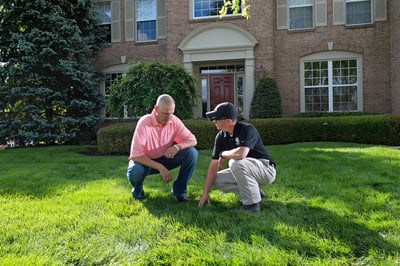 Dayton, OH lawn care services Buckeye Ecocare, Ziehler Lawn Care and Oasis Turf.