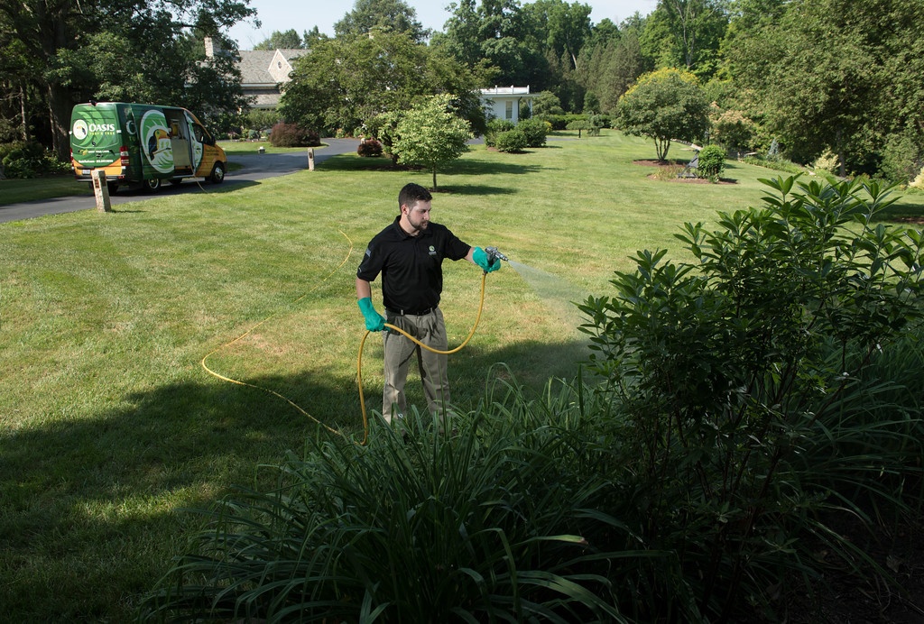 pest control technician sprays for ticks