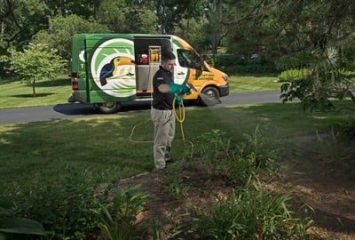 Oasis mosquito control technician spraying plants in lawn