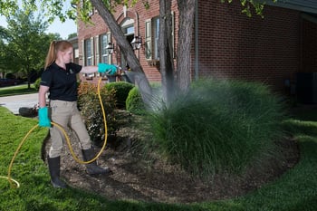 Technician applying mosquito control treatment to shrub