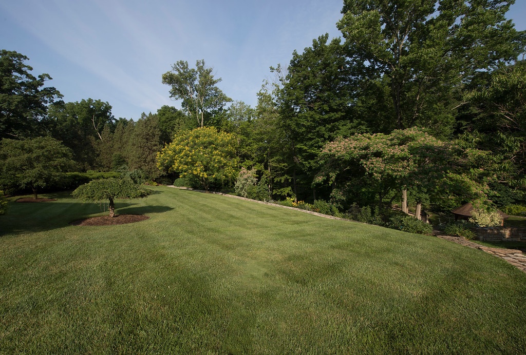 nice lawn that was watered correctly