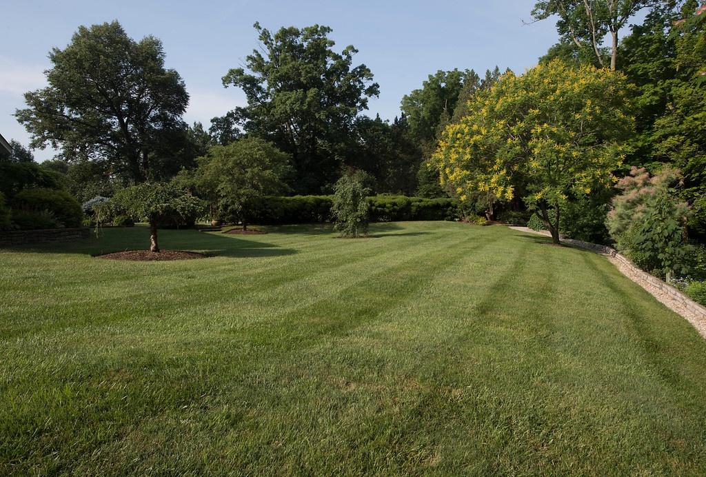 Nice healthy lawn after seeding