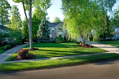 nice lawn serviced by good lawn care company