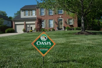 Oasis Turf and Tree lawn care sign