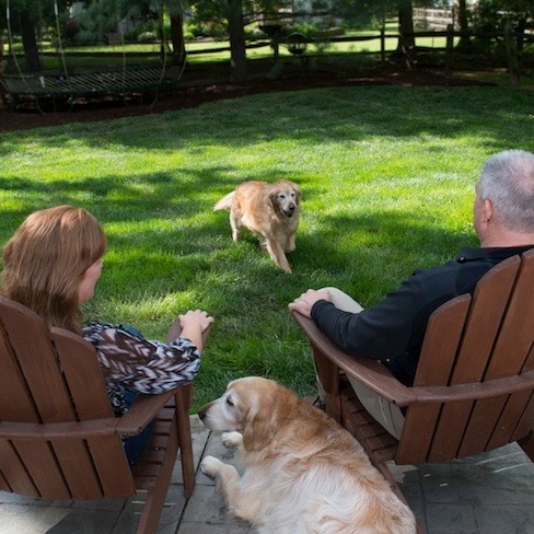 customers relaxing in lawn customers relaxing in lawn
