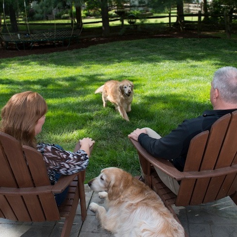 customers relaxing in lawn