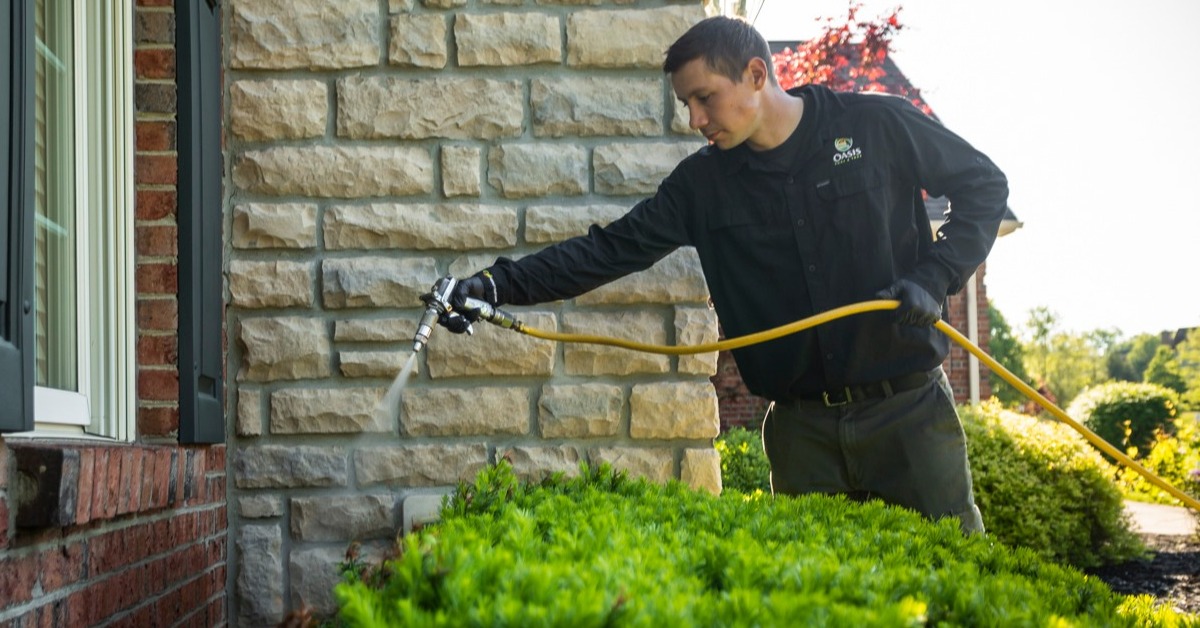 perimeter pest control technician spraying near shrubs