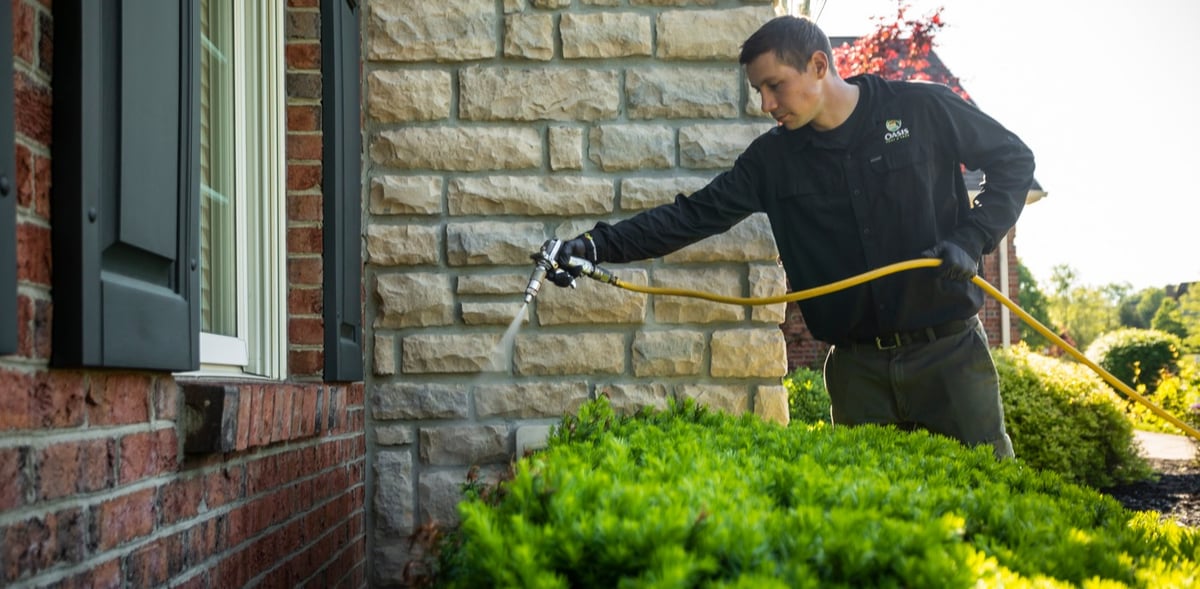 pest control technician sprays perimeter of home for bugs