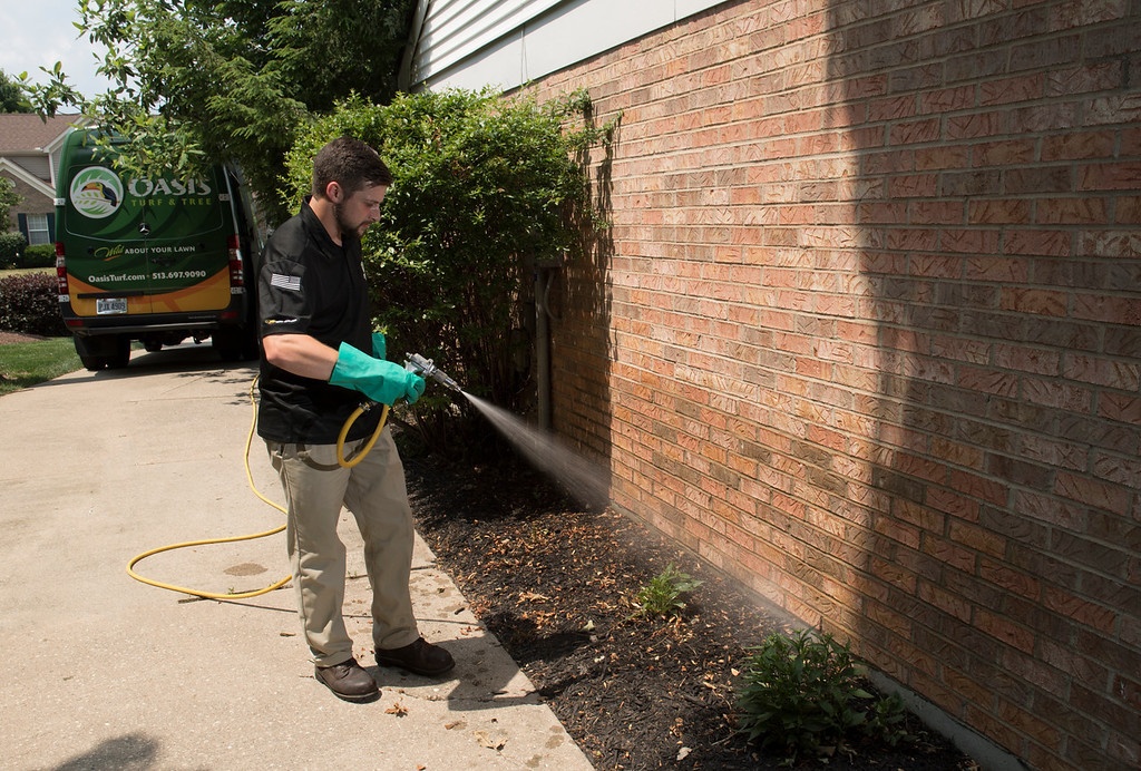 pest control expert spraying home for bugs