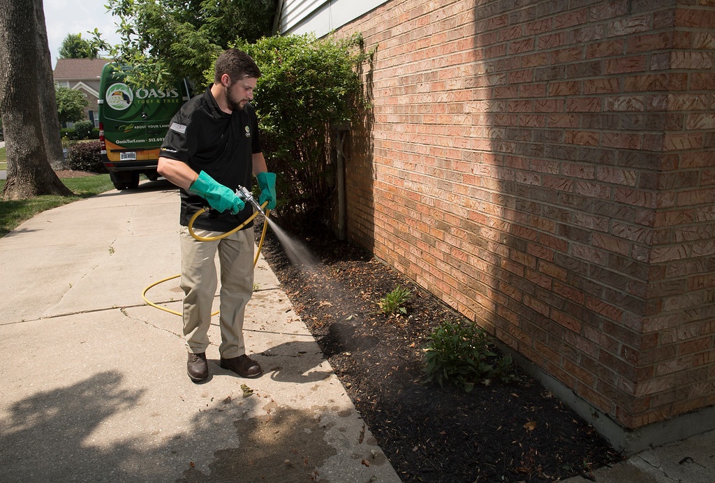 pest expert sprays around foundation of home