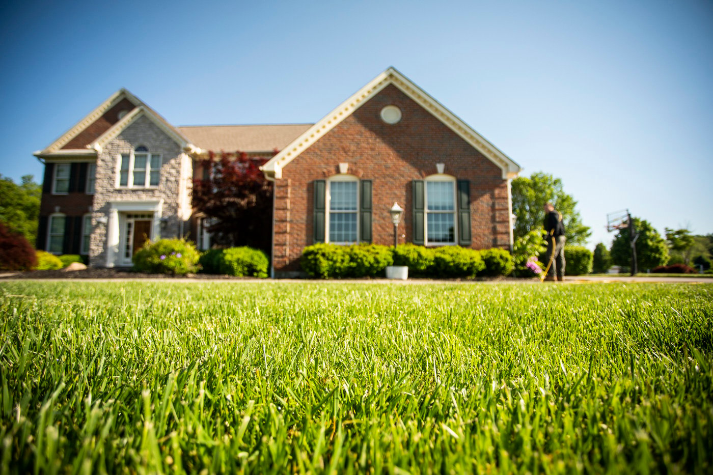 Lush green lawn