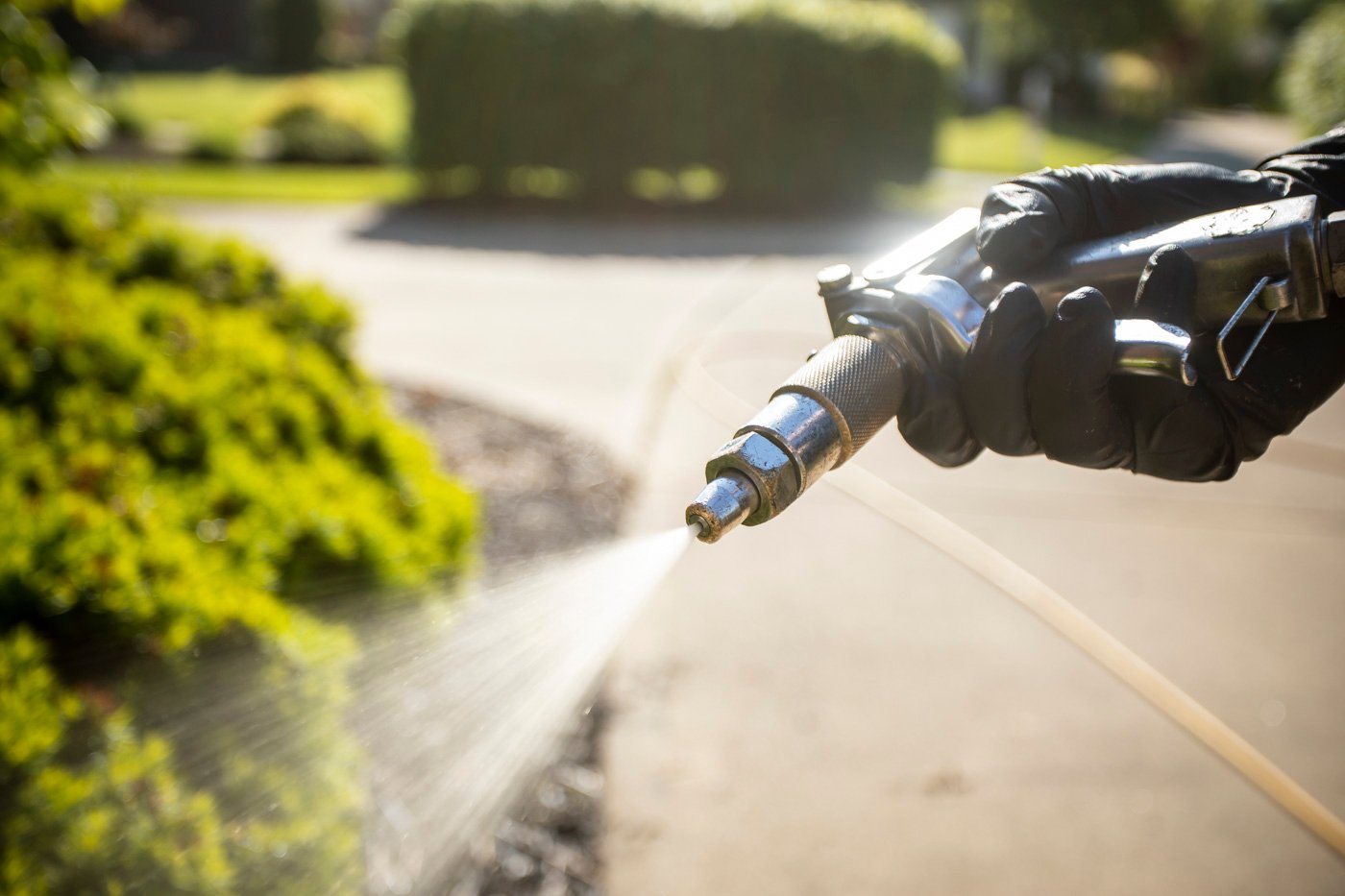 spraying-shrubs-2