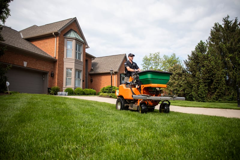 lawn care expert fertilizes grass