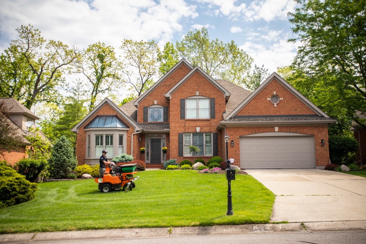 lawn care expert fertilizes grass