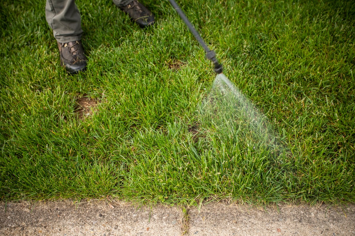 lawn care technician spot spraying lawn for weeds