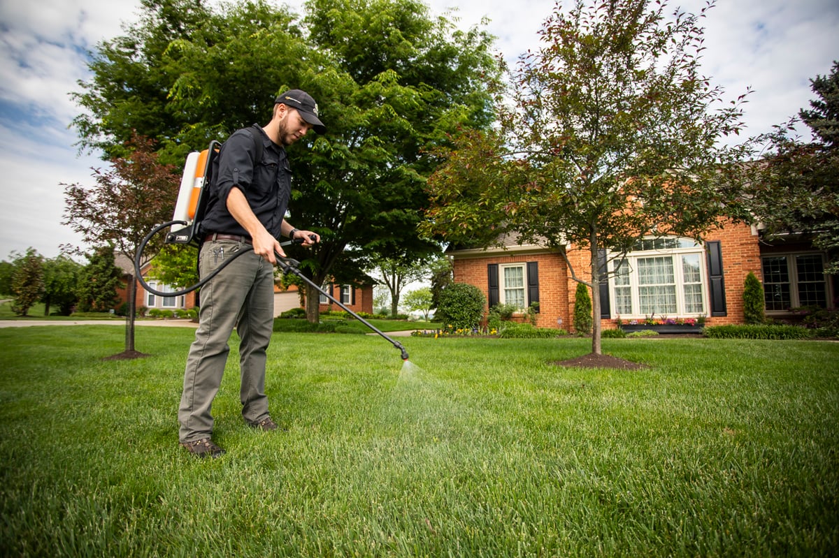 lawn care technician sprays grass