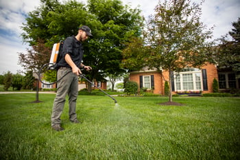 Lawn care company technician spraying lawn