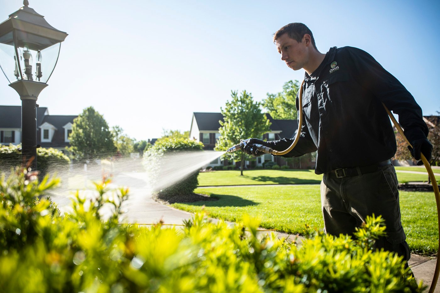 Horticultural technician caring for shrubs