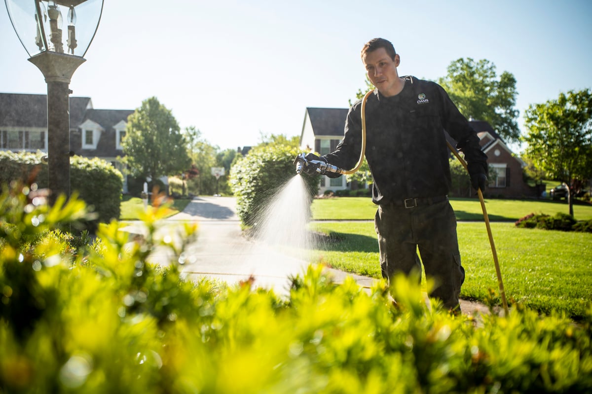 plant health care technician sprays trees and bushes