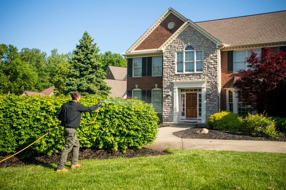 plant health care technician sprays trees and bushes