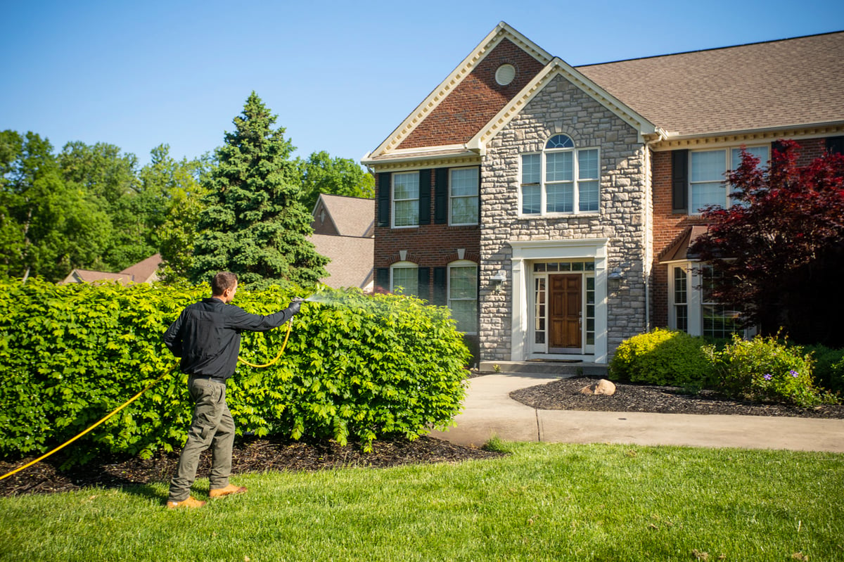 plant health care technician sprays trees and bushes