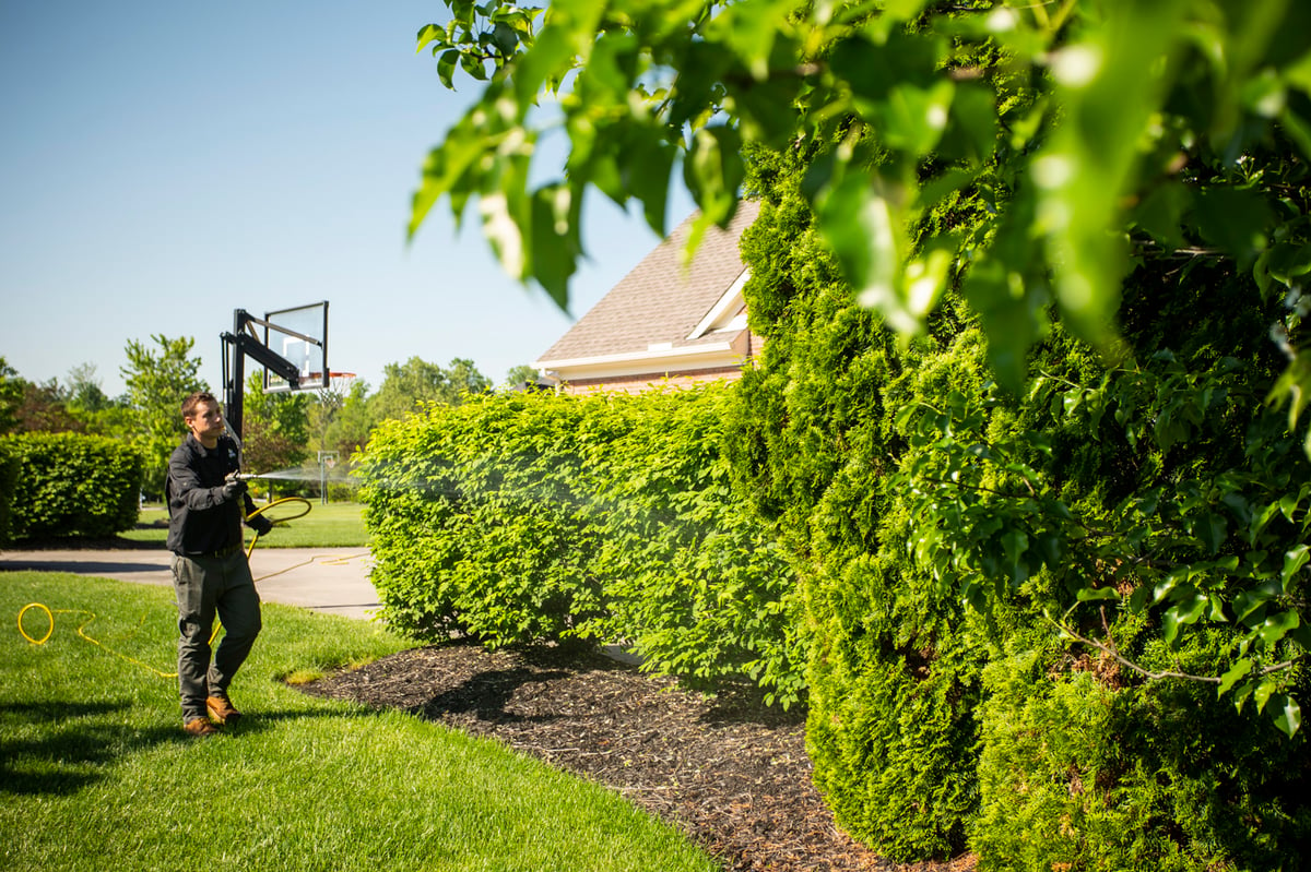 plant health care technician sprays shrubs