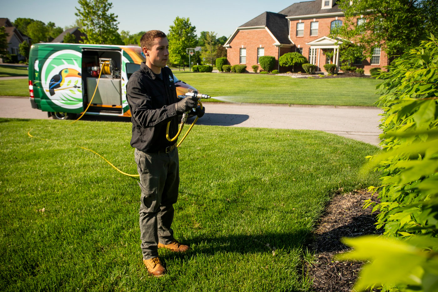 Oasis Turf & Tree technician spraying shrubs