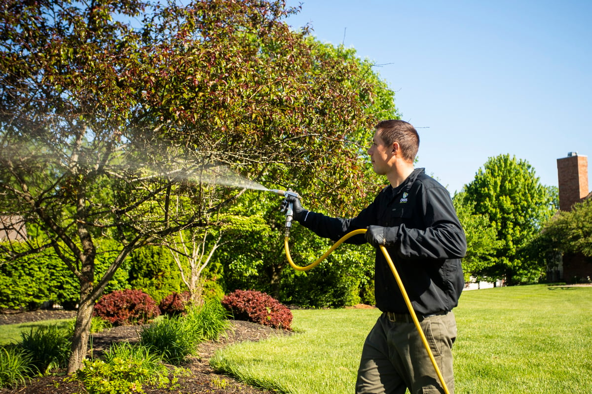 plant health care technician sprays trees and bushes