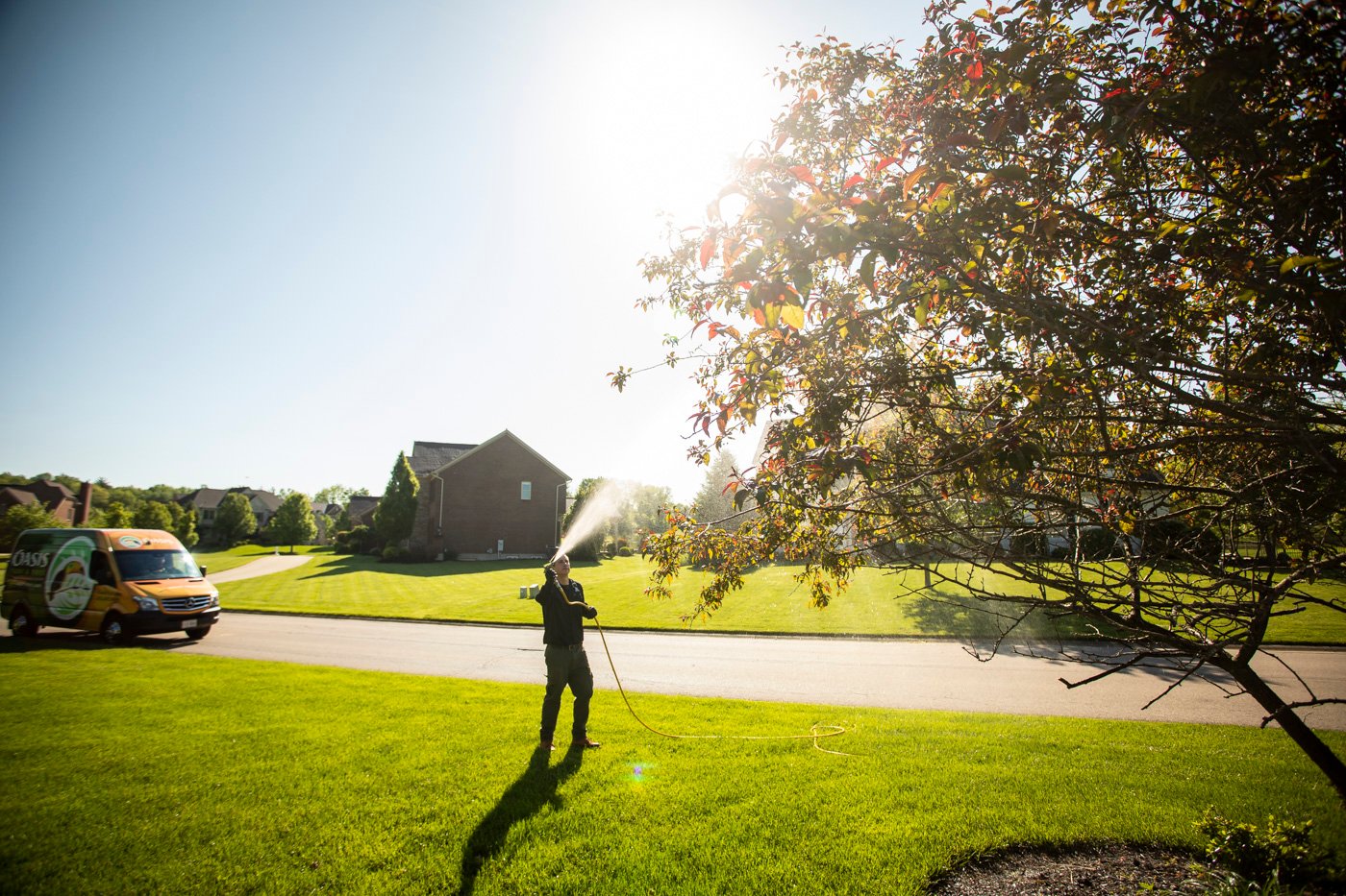 technician-spraying-tree-van-plant-health-care