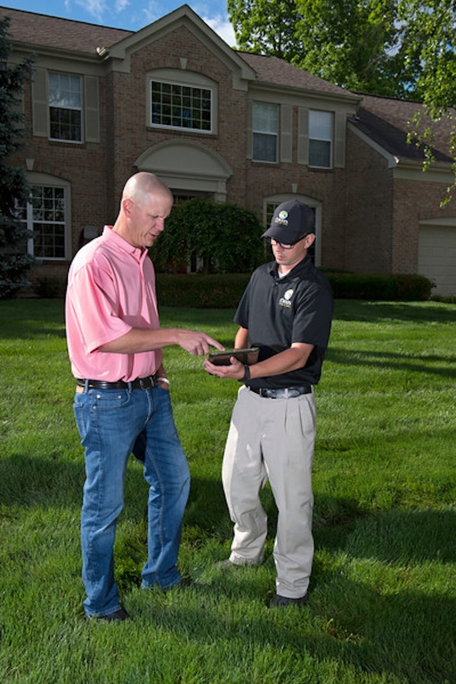 Scotts Lawn Service vs. TruGreen vs. Oasis Turf & Tree