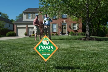Oasis Turf & Tree wins NALP award for lawn care results