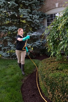 Mosquito control treatment application in Cincinnati