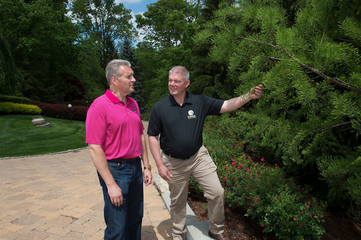 plant health care professional inspects tree with client