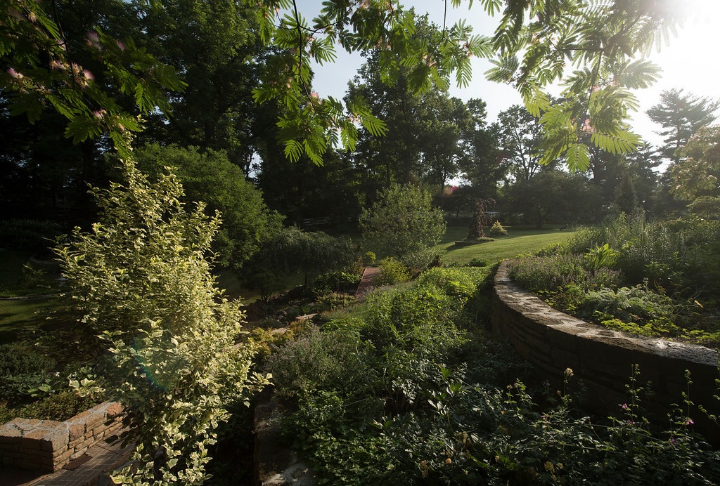 trees-and-shrubs-2-1
