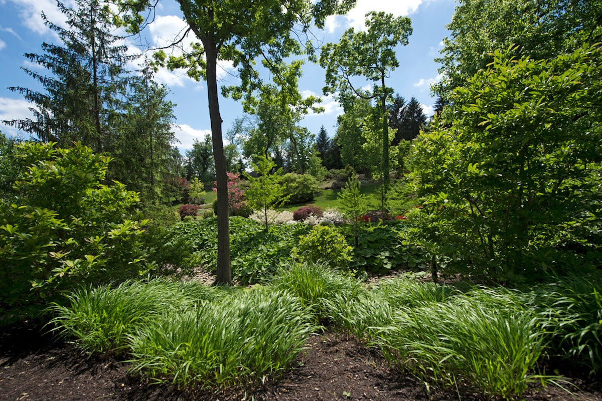 a border area where ticks might thrive