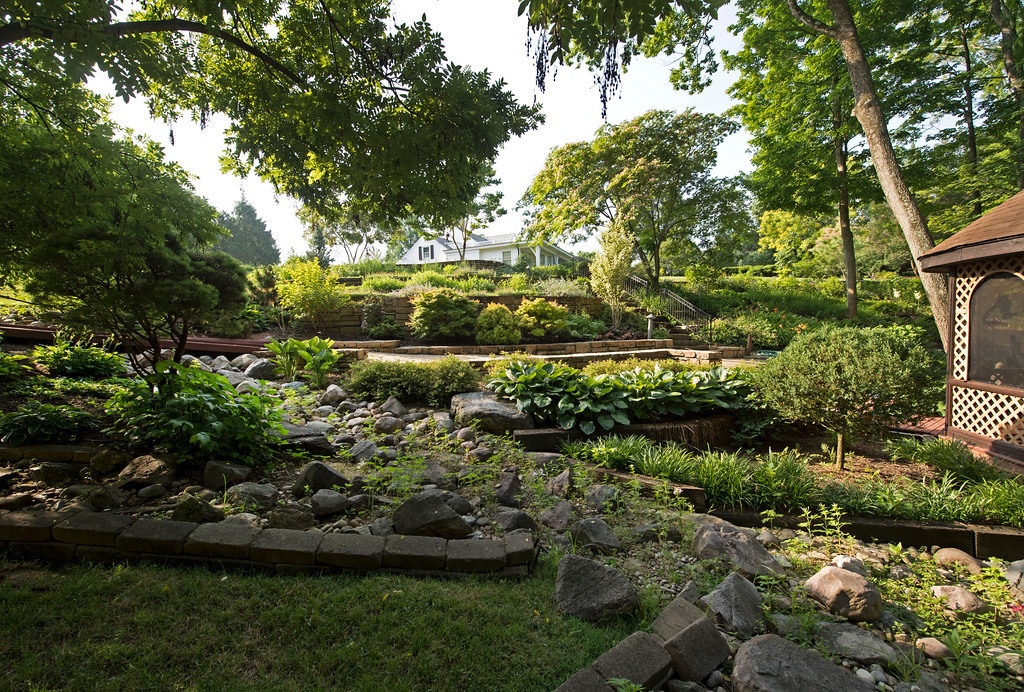 backyard filled with trees shrubs and perennials