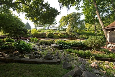 Newly planted trees and shrubs in Ohio lawn