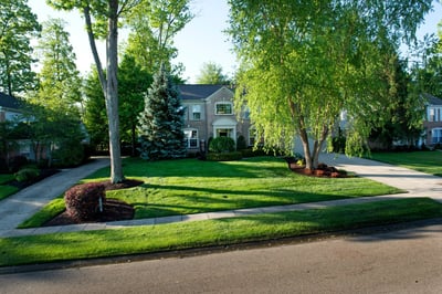 weed free lawn Cincinnati