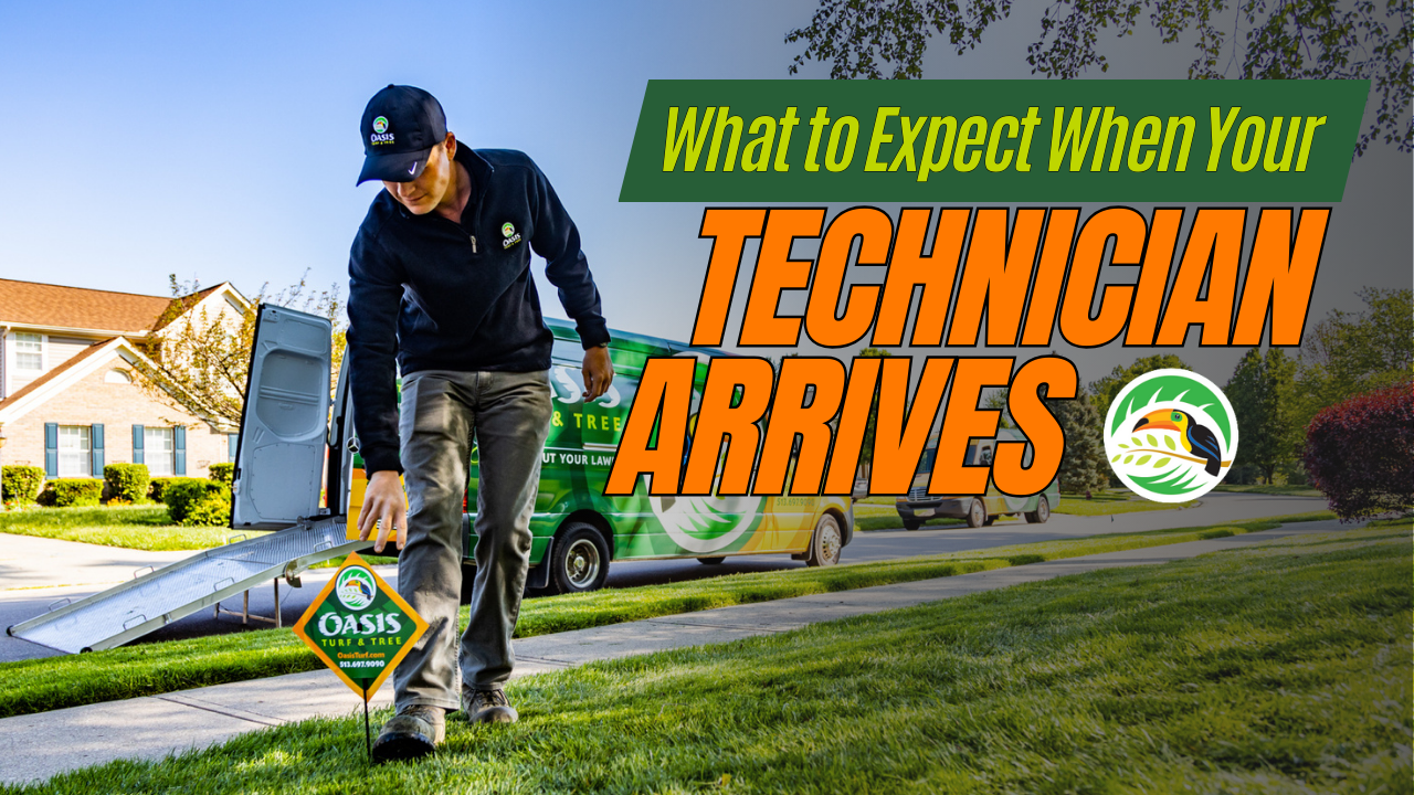 What to Expect When Your Technician Arrives (Thumbnail)