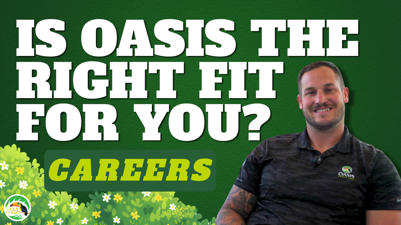Is Oasis Turf & Tree the Right Fit for You? | Careers (Thumbnail)